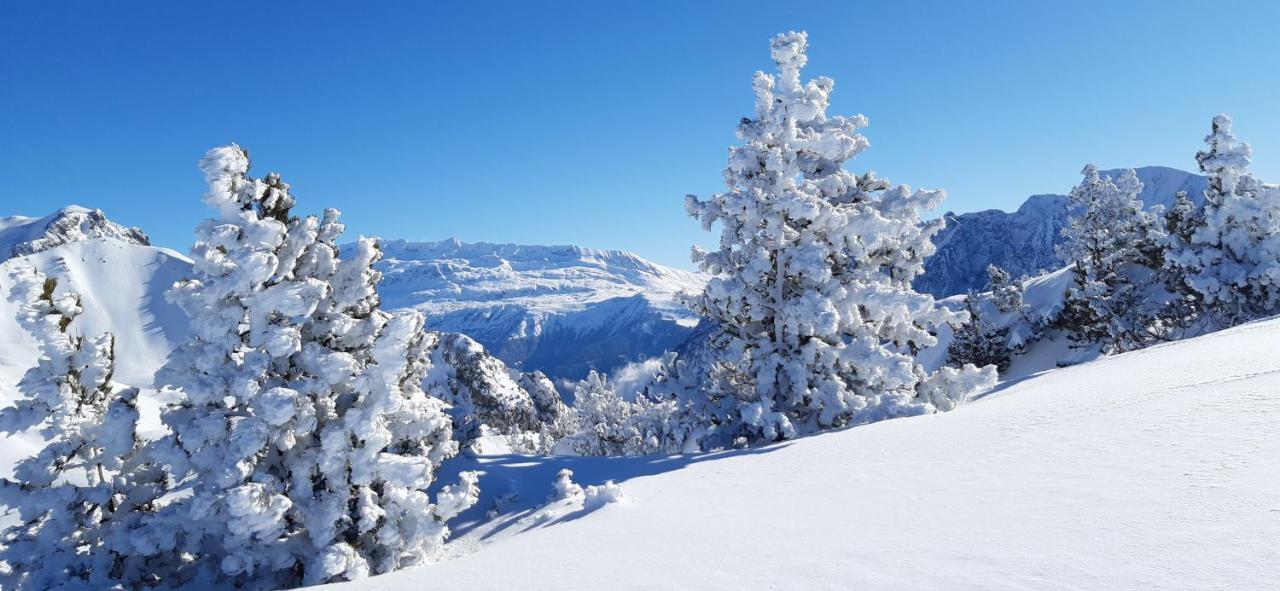 Studio Aux Pieds Des Pistes Roche Beranger Chamrousse Exterior foto